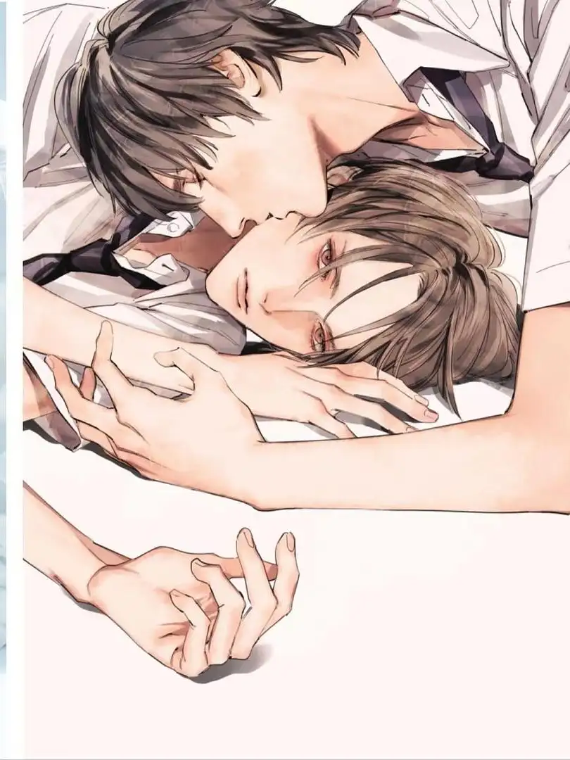 美丽的他
